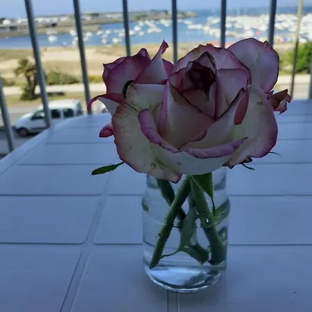 Le Plaisance * بورنيشّيه